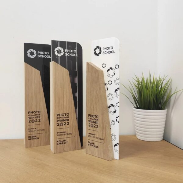 Μοντέρνο Ξύλινο Βραβείο βραβείο